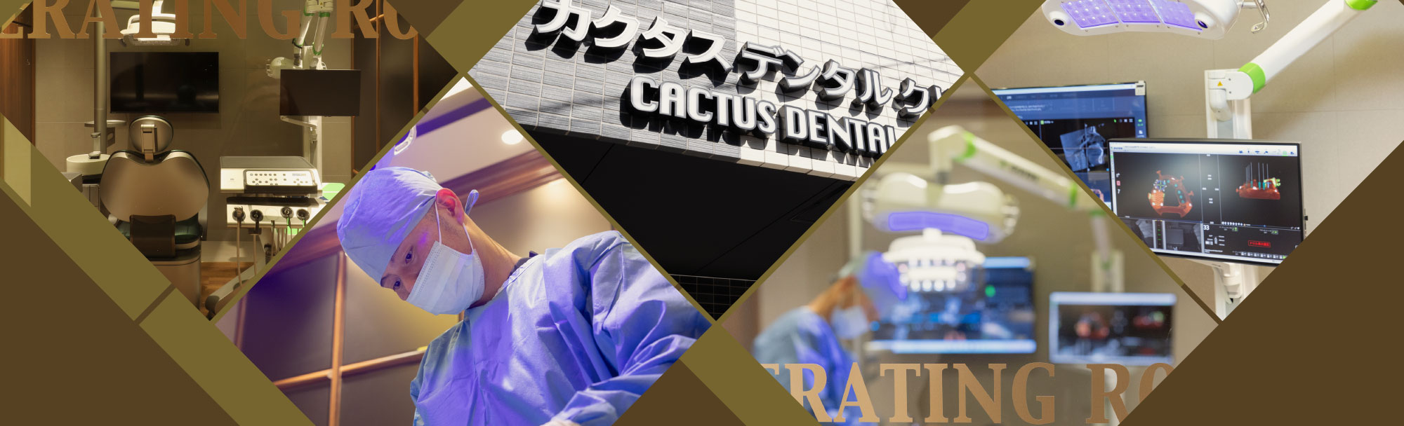 カクタスインプラントプランMV
