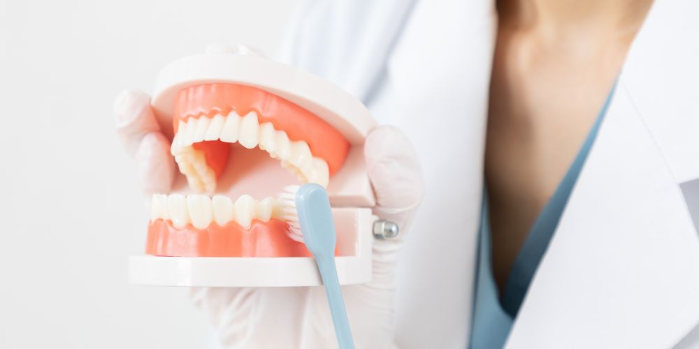 ブラッシング指導のイメージ